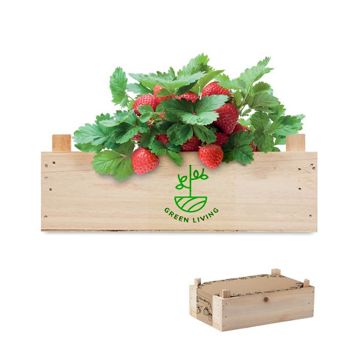 GiftRetail MO6506 - STRAWBERRY Strawberry kit in wooden crate