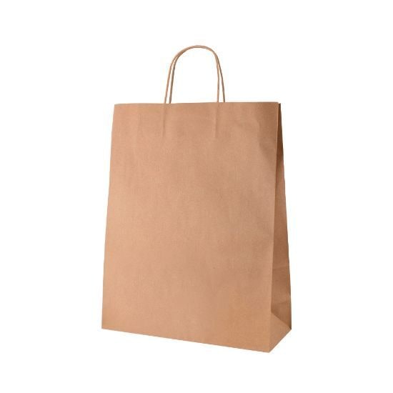 EgotierPro 50681 - 100 gr/m² Paper Bag with Twisted Handles GALI