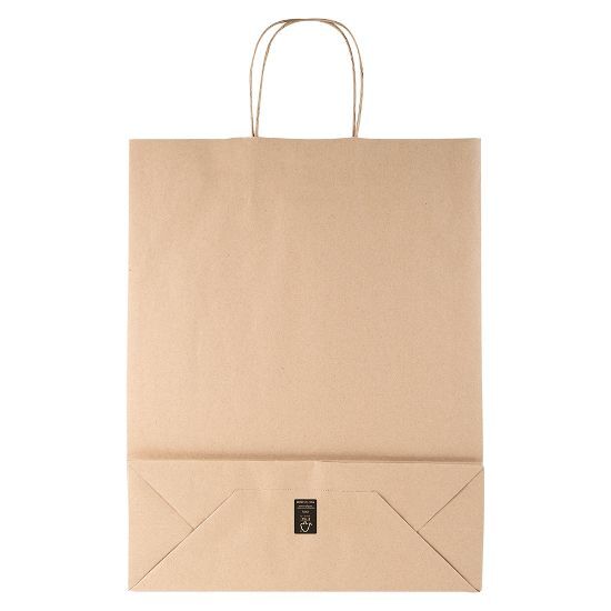 EgotierPro 53581 - Kraft Paper Bag with Twisted Handle AYSEN