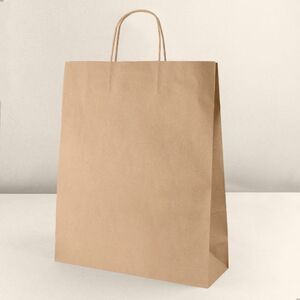 EgotierPro 53581 - Kraft Paper Bag with Twisted Handle AYSEN
